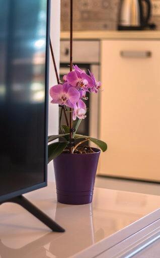 Apartman Boni Apartman Orebić Kültér fotó